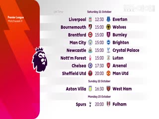 英超 富勒姆vs谢菲尔德联 (涂远) 20231007海报