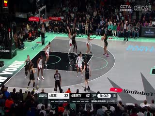 WNBA总决赛 纽约自由人vs拉斯维加斯王牌 20231018海报