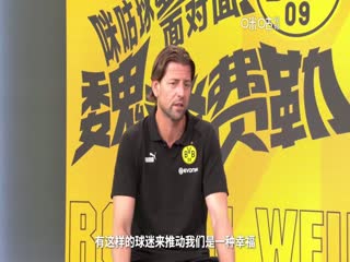 德甲 霍芬海姆vs多特蒙德 (涂远) 20230929海报