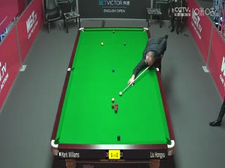 斯诺克 马克·威廉姆斯3-4刘宏宇 20231005海报