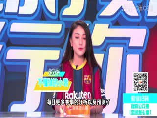 德甲  RB莱比锡vs科隆 (涂远、张力) 20231028海报