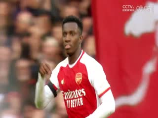 英超 纽卡斯尔联vs阿森纳 (洪荒) 20231104海报