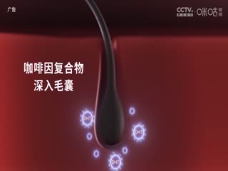 英超 切尔西vs阿森纳 (詹俊、张路、李子琪) 20231021海报