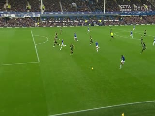 英超 埃弗顿vs布莱顿 (苗锟) 20231104海报