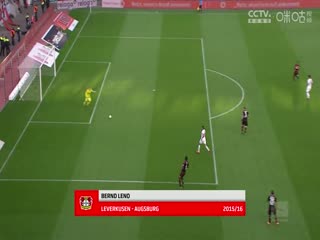 德甲 斯图加特vs霍芬海姆 20231028（刘洪新）海报