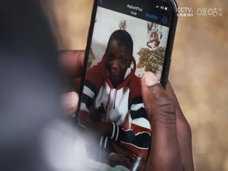 德甲 弗赖堡vs达姆施塔特 (吴子越) 20231125海报