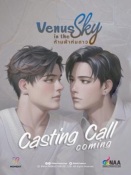 天空中的金星海报