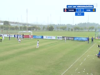 中国传承足球明星联赛 广州传承明星队vs四川甲A通达明星足球队 20231109（现场解说）海报