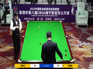 斯诺克 蔡剑忠1-4袁思俊 20230519海报