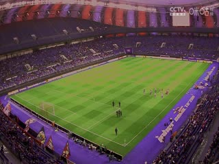 亚冠小组赛 柔佛DTvs巴吞联 (张天翼) 20231212海报