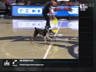 NBA常规赛 活塞VS魔术 20231209海报