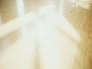 WCBA常规赛 四川远达美乐VS福建厦门白鹭 20231215（原声）海报