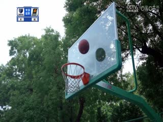 NBA常规赛 灰熊VS太阳 20231203海报