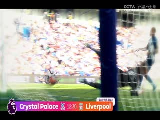 英超 布莱顿vs布伦特福德 (苗锟) 20231206海报