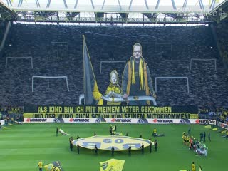 德甲 达姆施塔特vs沃尔夫斯堡 20231216（刘洋）海报