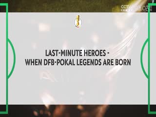 德国杯第三轮 斯图加特vs多特蒙德 (鲁靖明) 20231206海报