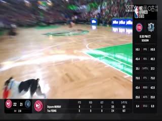 NBA常规赛 黄蜂VS凯尔特人 20240413海报