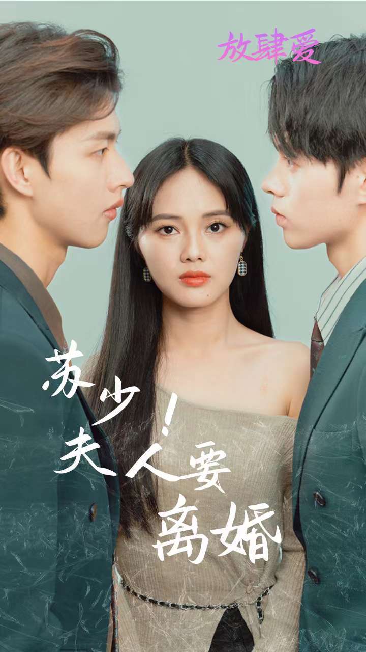 苏少！夫人要离婚海报