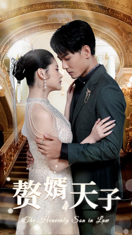 赘婿天子海报