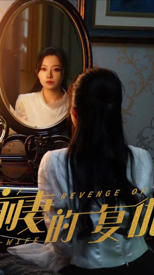 前妻的复仇海报