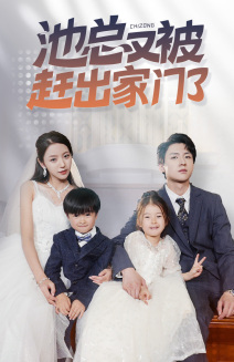 池总又被赶出家门了海报