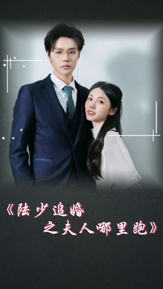 陆少追婚之夫人哪里跑海报