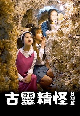古灵精怪台湾篇海报