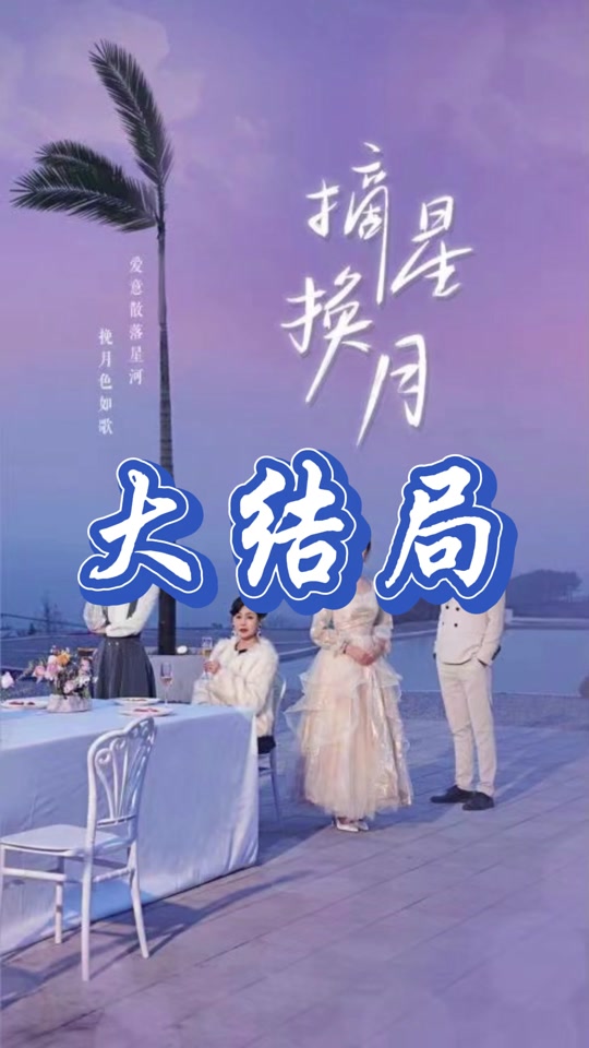 摘星换月海报