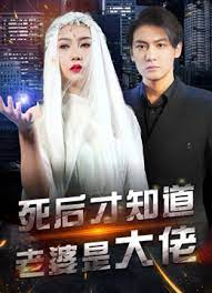 死后才知道老婆是大佬海报