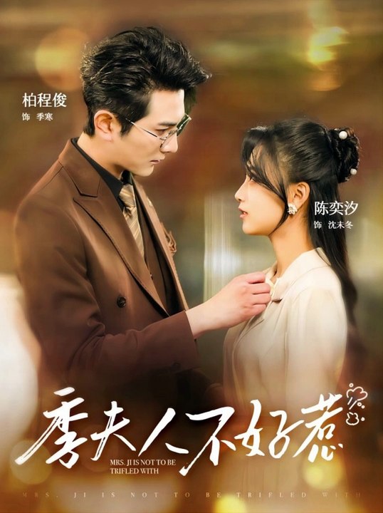 季夫人不好惹海报