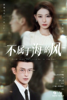 不属于海的风海报