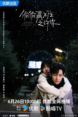 偷偷藏不住之许你海报