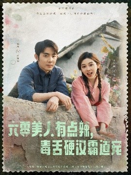 六零美人有点辣毒舌硬汉霸道宠海报