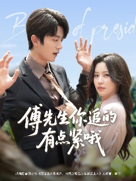 傅先生你追的有点紧哦海报