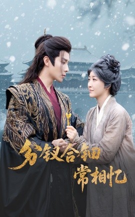 分钗合钿常相忆海报