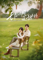 七月的风是甜的海报