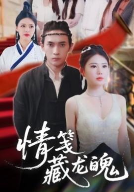 情笺藏龙魄海报