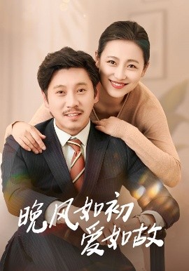 晚风如初爱如故海报