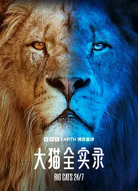 大猫全实录海报