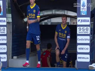 意甲联赛 维罗纳VS帕尔马 20250401海报