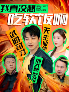 我真没想吃软饭啊海报