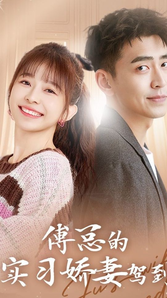 傅总的实习娇妻驾到海报