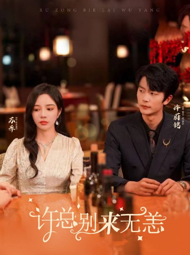 许总别来无恙海报