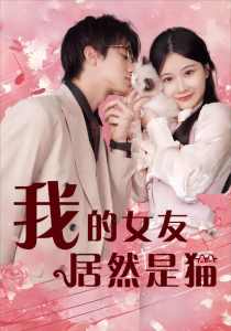 我的女友居然是猫海报