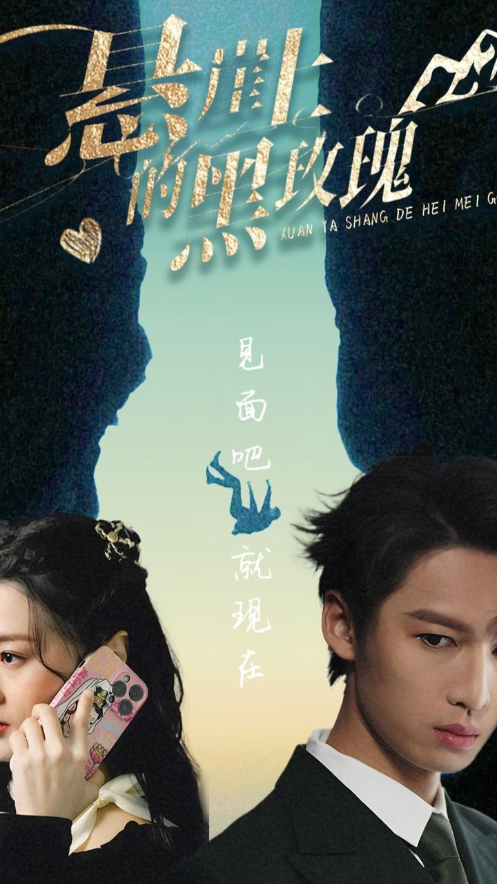 悬崖上的黑玫瑰海报