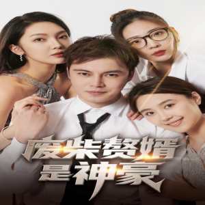 废柴赘婿是神豪海报