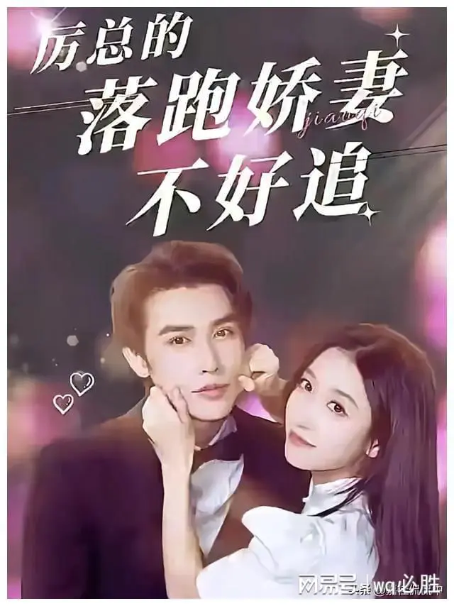 南特助又又又逃跑了海报