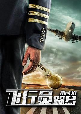 飞行员呆呆鸟海报