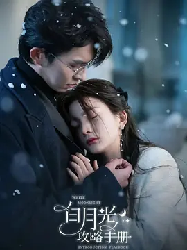 白月光攻略手册海报