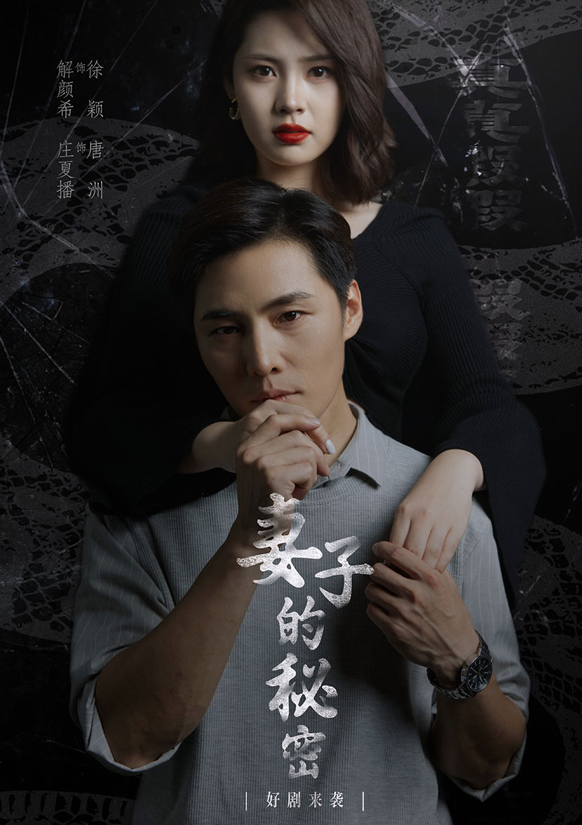 妻子不能说的秘密  妻子的秘密海报